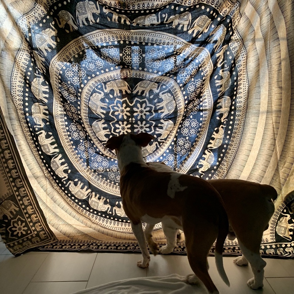 Tapestry - Picture 6 of 14